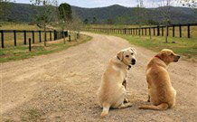 Pemberley Grange Hunter Valley Getaway - Accommodation Perth 1