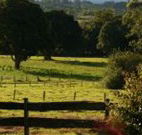 Pines on the Plateau - Accommodation Perth