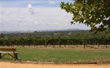 The Vineyard Motel - Accommodation Perth 1