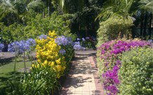 Wamberal Cottage - Accommodation Perth 7