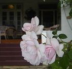 White House Heritage Guesthouse - Accommodation Perth