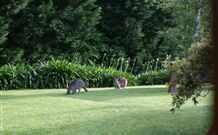 Yallambee Bed And Breakfast - Accommodation Perth 4