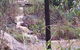 Wollongong Backpackers Keiraleagh - thumb 2