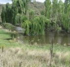 Cedar Grove - Accommodation Perth
