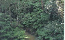Eco Huts - Jervis Bay Getaways - Accommodation Perth 1