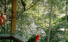 Eco Huts - Jervis Bay Getaways - Accommodation Perth 2