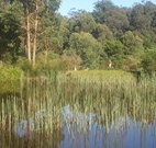 Fosterton Lodge Retreat - Accommodation Perth