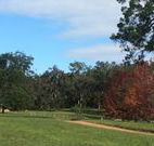 Mulberry Cottage - Accommodation Perth