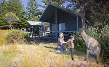 Norman Lindsay Cottage - Accommodation Perth 9