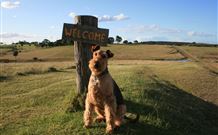 Pebble Bay Cottage - Accommodation Perth 7