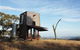 Protea Farm Cottages - thumb 0