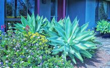 Jerrys Plains NSW Accommodation Perth