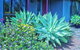 Retreat Homestead - thumb 0