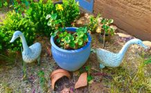 The Pines Pastoral - Accommodation Perth 5