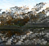 Greysen Farmstay - Accommodation Perth