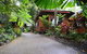 Cape Tribulation  - thumb 4