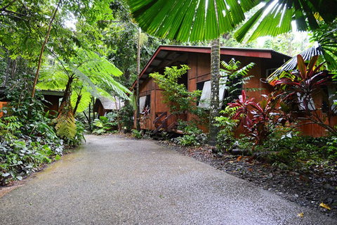Cape Tribulation  - Accommodation Perth 4