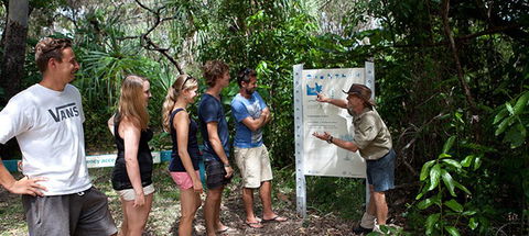 Magnetic Island YHA - Accommodation Perth 8