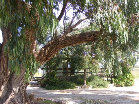 Coodlie Park - Port Kenny - Venus Bay - Accommodation Perth 4