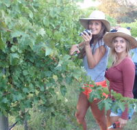 McLaren Vale Backpackers - Accommodation Perth