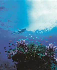 One&Only Hayman Island - Accommodation Perth 3