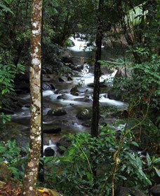 Daintree Secrets Waterfall Sanctuary - Accommodation Perth 1