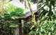 Heritage Lodge And Spa - In The Daintree - thumb 0