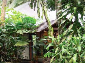 Heritage Lodge And Spa - In The Daintree - Accommodation Perth 0