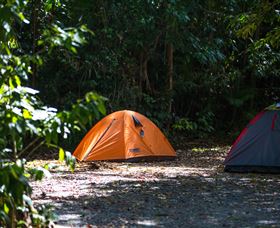 Jungle Lodge - Accommodation Perth 1