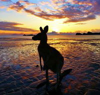 Cape Hillsborough Nature Tourist Park - Accommodation Perth