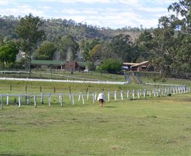 Kellarni Downs Farmstay-Scenic Rim - Accommodation Perth 0