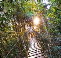 O'Reilly's Rainforest Retreat - Accommodation Perth