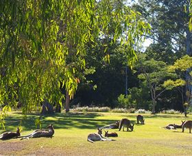 Bellmere On Richards - Accommodation Perth 2