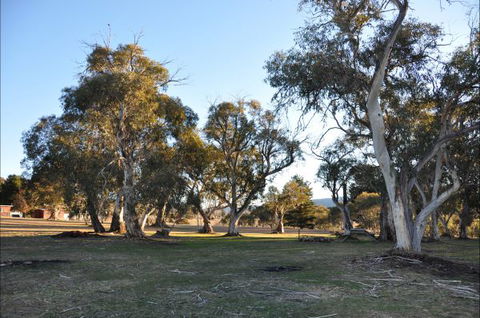 Braemar Bay Holiday Park - Accommodation Perth 5