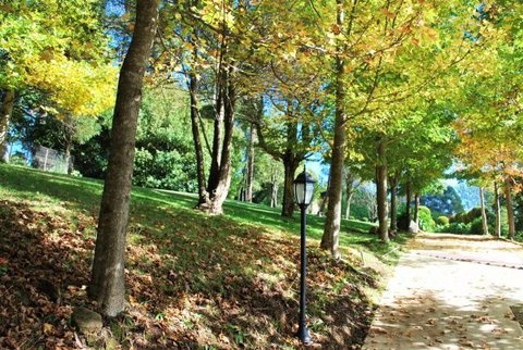 Huntington Cottage - Perth Resorts 7