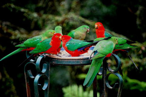 Huntington Cottage - Perth Resorts 8