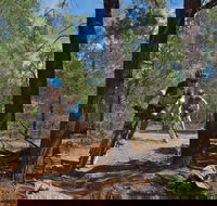 Back Yamma State Forest - Accommodation Perth