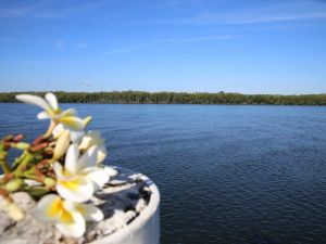 The Fishing Haven Holiday Park - Accommodation Perth 0