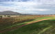 Sanguine Estate - thumb 5