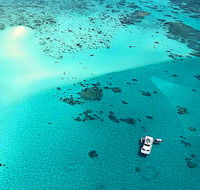 Ocean Free and Ocean Freedom - Cairns Premier Reef and Island Tours - Accommodation Perth