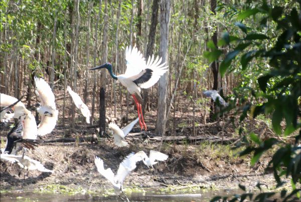 Humpty Doo NT Accommodation Perth