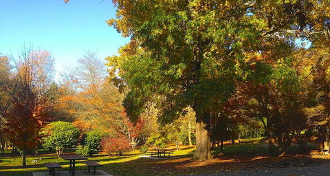 Eastern Dandenong Ranges Visitor Information Centre - Perth Resorts 1