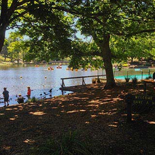 Eastern Dandenong Ranges Visitor Information Centre - Perth Resorts 4