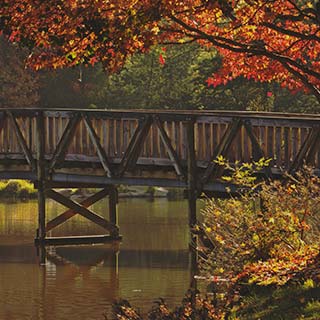 Eastern Dandenong Ranges Visitor Information Centre - Perth Resorts 6