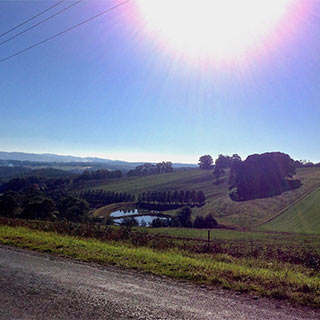Eastern Dandenong Ranges Visitor Information Centre - Perth Resorts 9