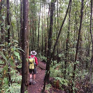 Eastern Dandenong Ranges Visitor Information Centre - Perth Resorts 11