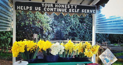 Eastern Dandenong Ranges Visitor Information Centre - Perth Resorts 15