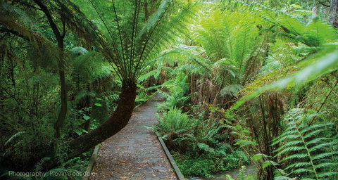 Eastern Dandenong Ranges Visitor Information Centre - Perth Resorts 17