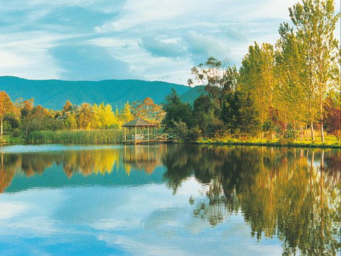 Kingbilli - Perth Resorts 0