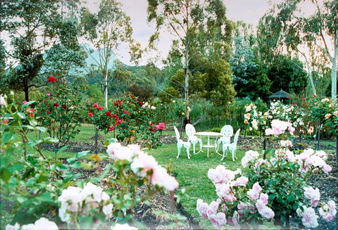 Kingbilli - Perth Resorts 2